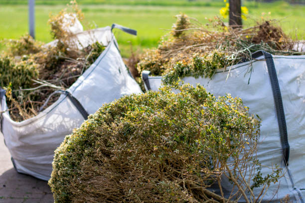 Best Junk Removal Near Me  in Superior, AZ
